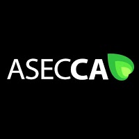 ASECCA 364561 Image 0